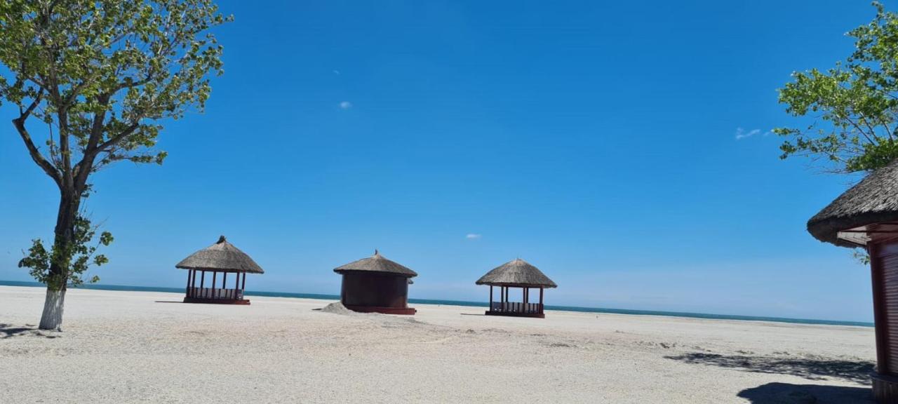 Moonlight Apartament 3 Camere Lux 803 Mamaia Dış mekan fotoğraf